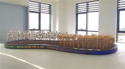 Aksa Deneyim Alanı